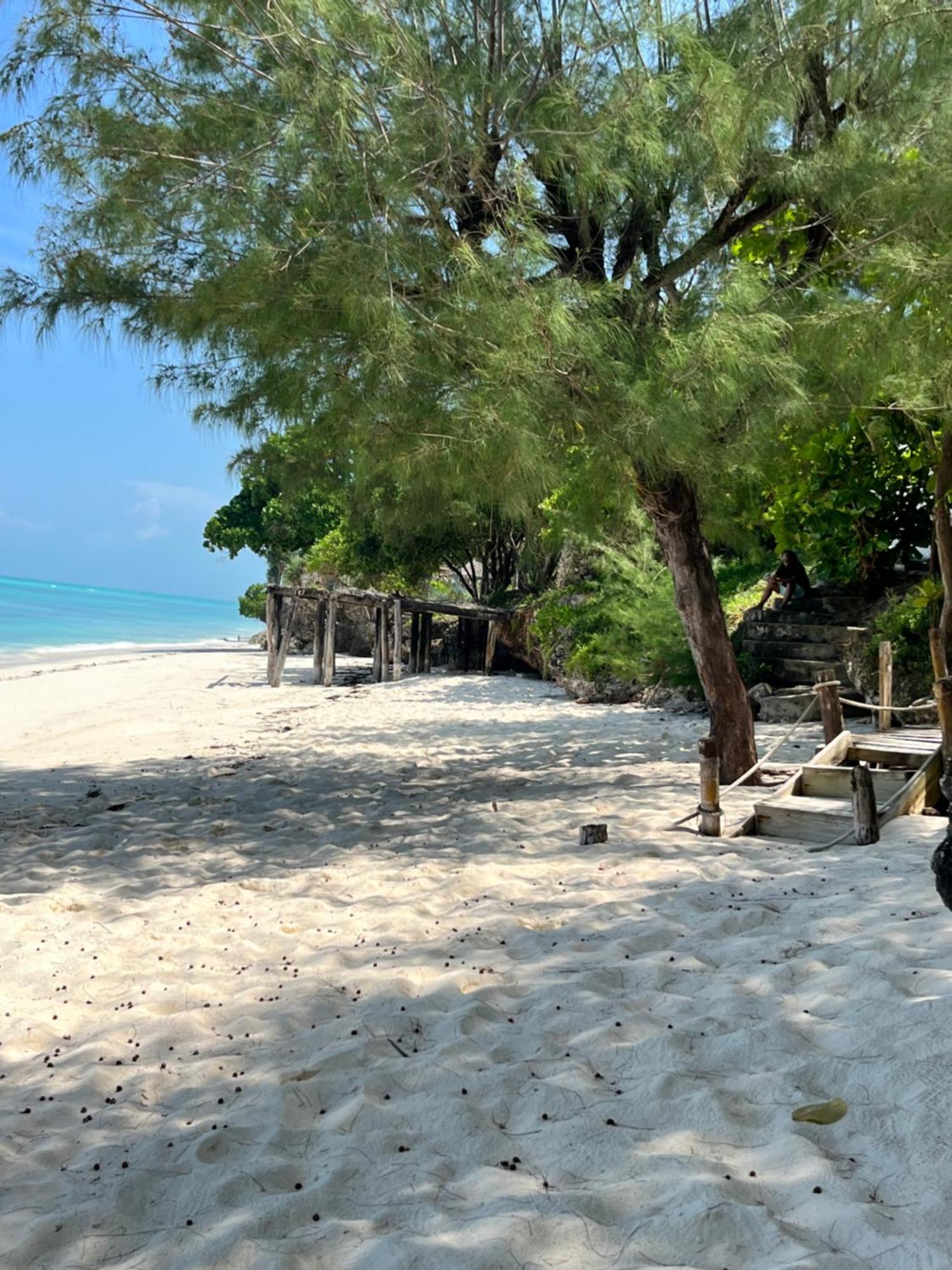 Sazani Beach Lodge And Tidal Lounge Nungwi Luaran gambar