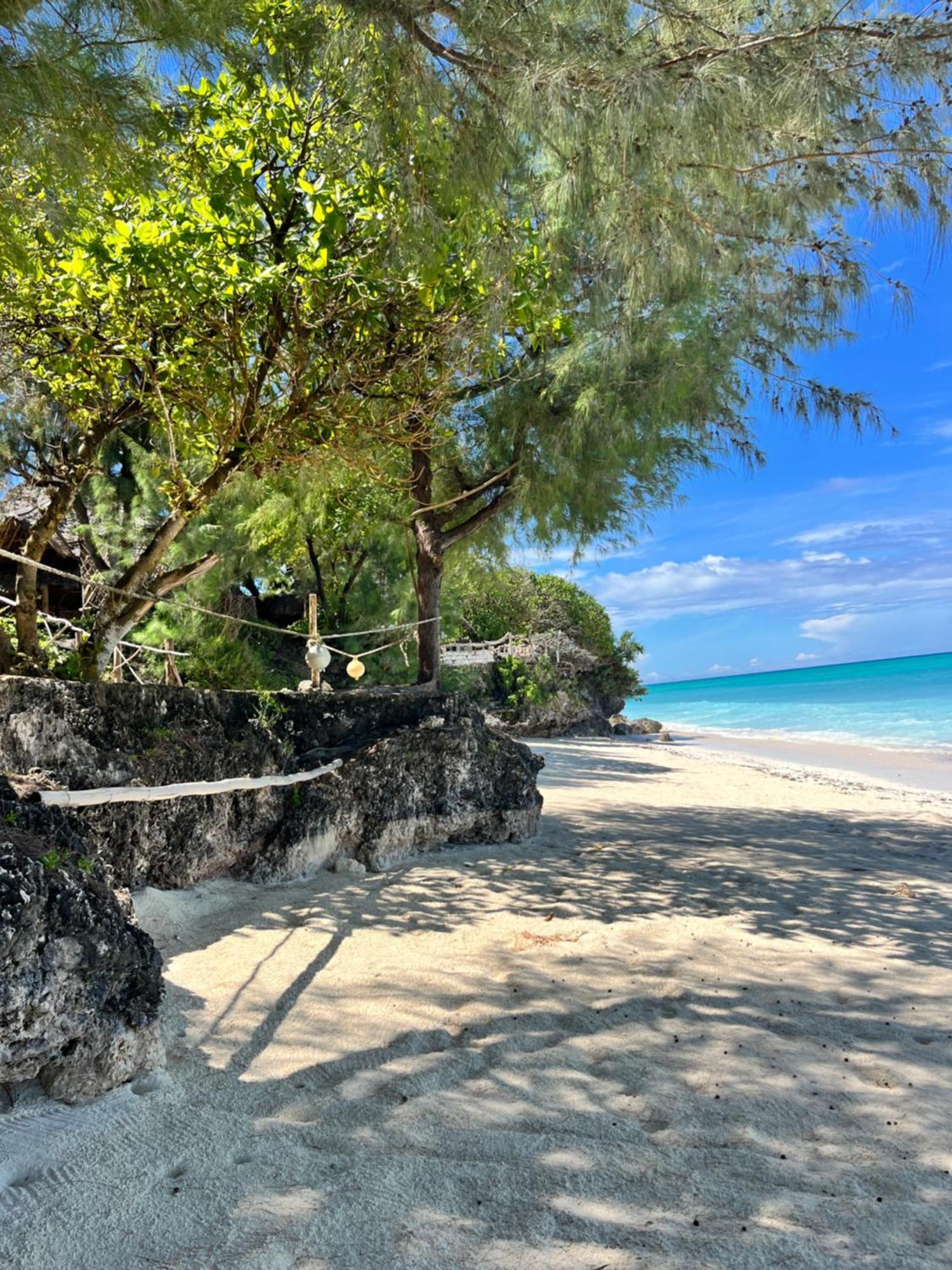 Sazani Beach Lodge And Tidal Lounge Nungwi Luaran gambar