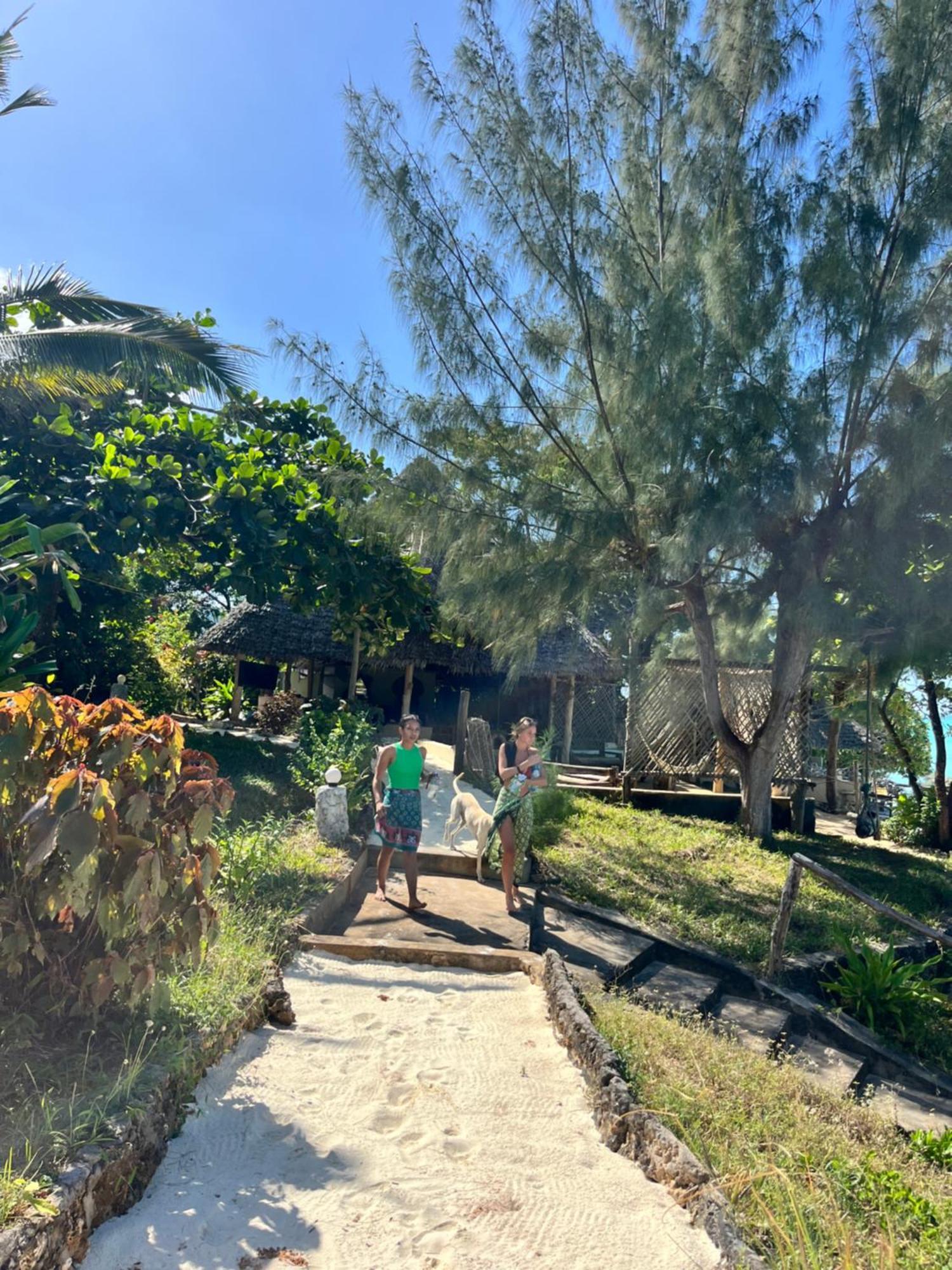 Sazani Beach Lodge And Tidal Lounge Nungwi Luaran gambar