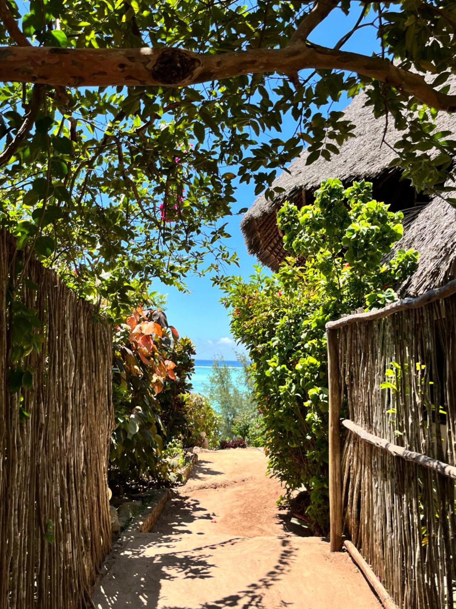 Sazani Beach Lodge And Tidal Lounge Nungwi Luaran gambar