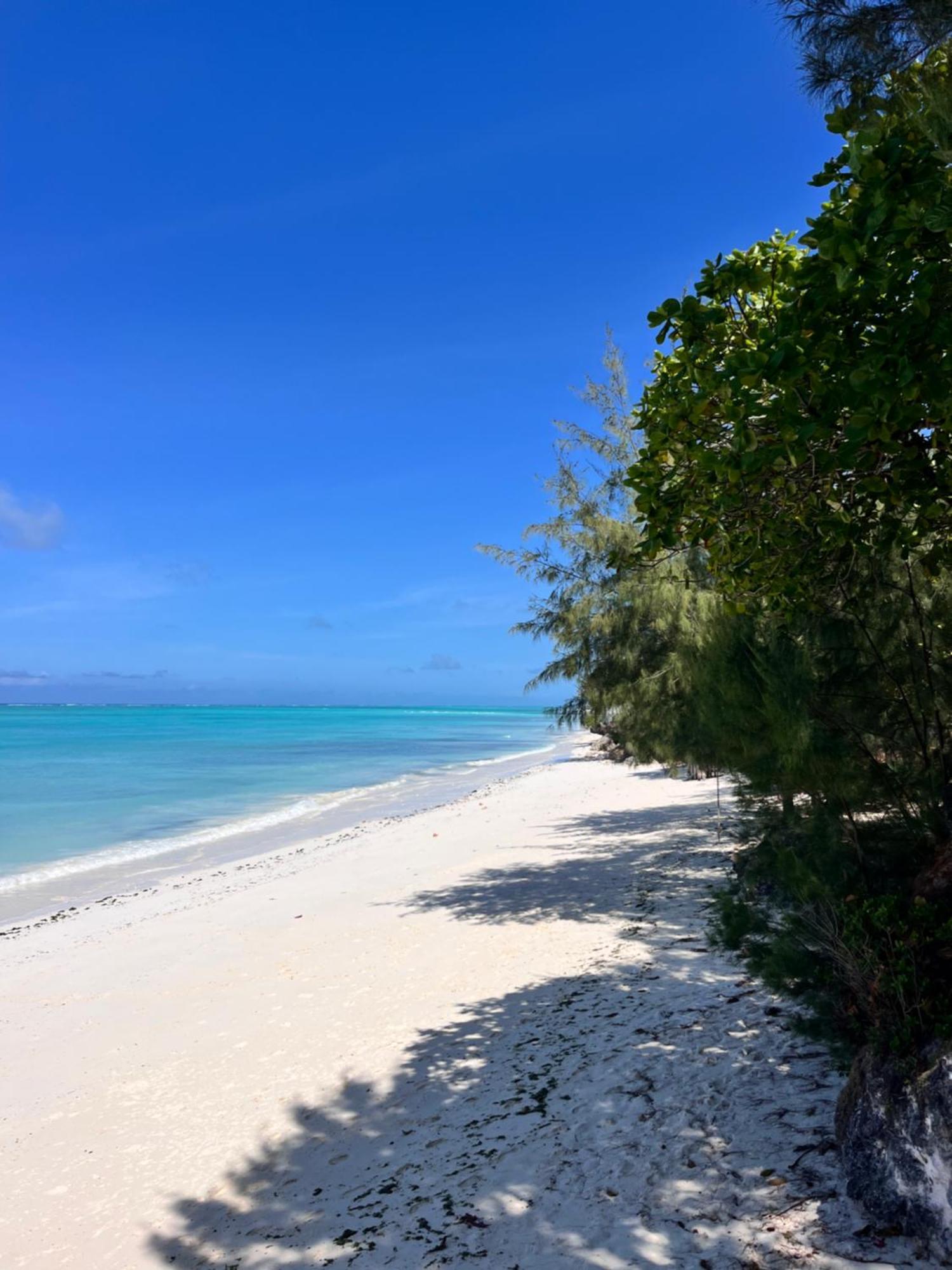 Sazani Beach Lodge And Tidal Lounge Nungwi Luaran gambar