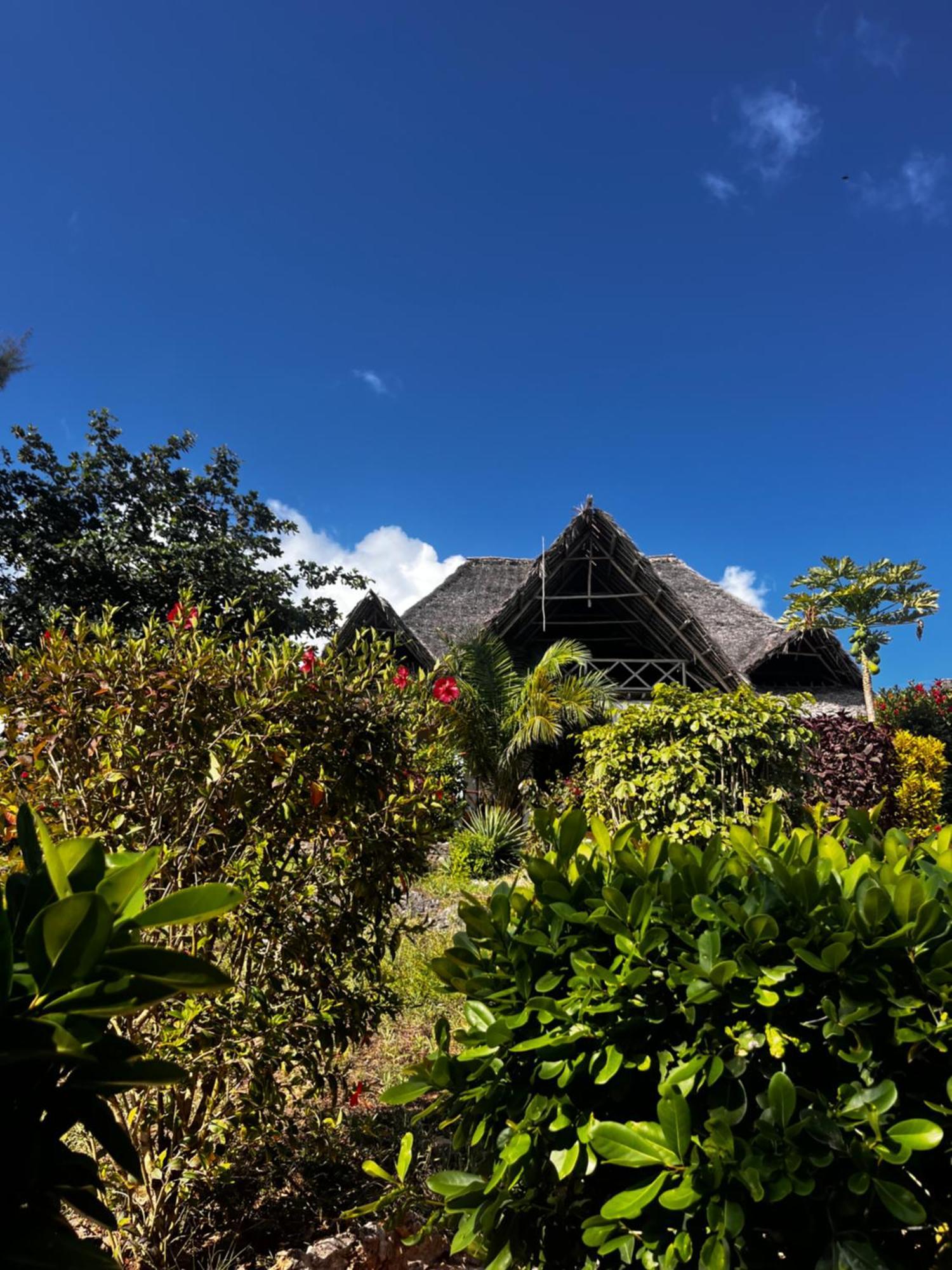 Sazani Beach Lodge And Tidal Lounge Nungwi Luaran gambar