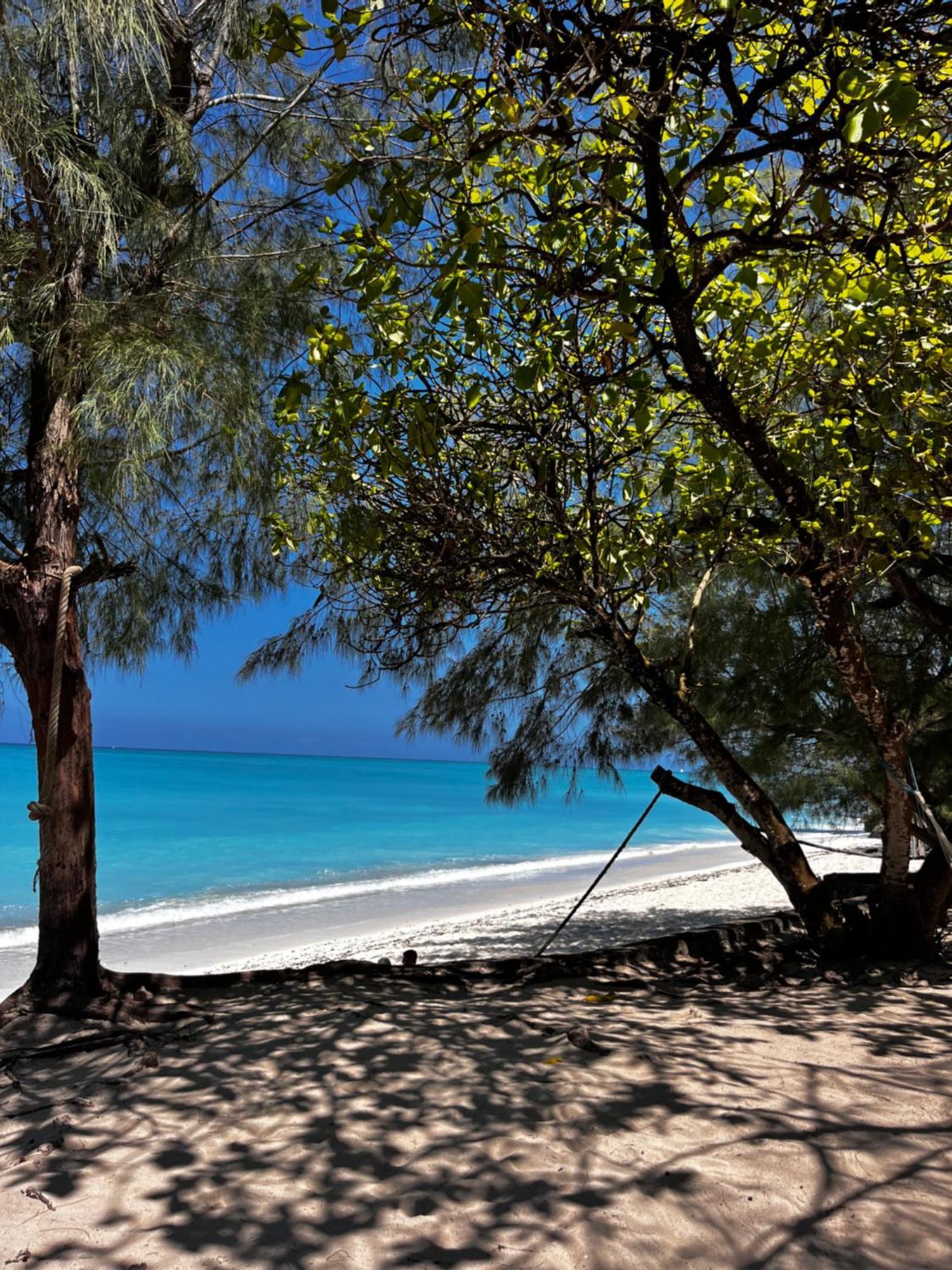 Sazani Beach Lodge And Tidal Lounge Nungwi Luaran gambar