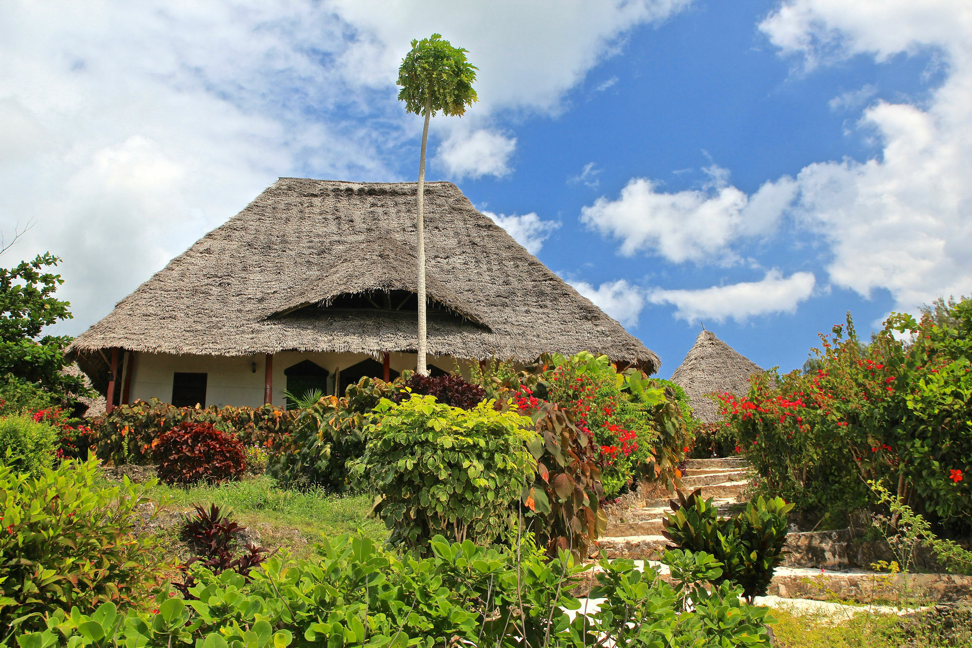 Sazani Beach Lodge And Tidal Lounge Nungwi Luaran gambar